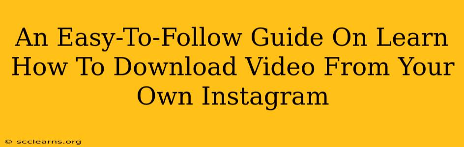 An Easy-To-Follow Guide On Learn How To Download Video From Your Own Instagram