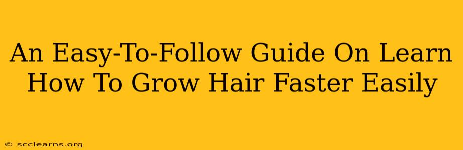 An Easy-To-Follow Guide On Learn How To Grow Hair Faster Easily