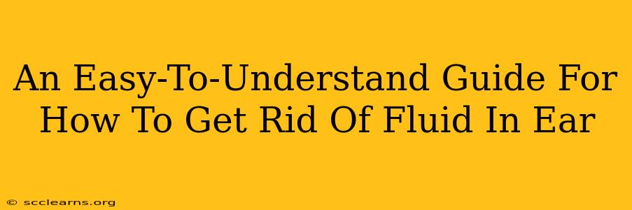 An Easy-To-Understand Guide For How To Get Rid Of Fluid In Ear