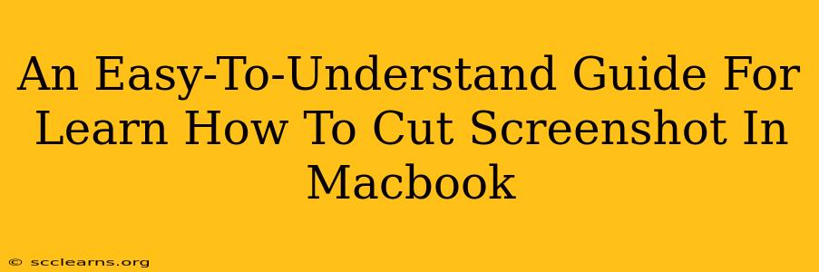 An Easy-To-Understand Guide For Learn How To Cut Screenshot In Macbook