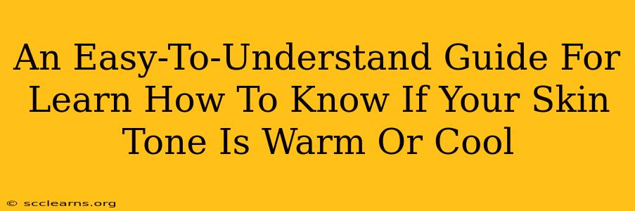 An Easy-To-Understand Guide For Learn How To Know If Your Skin Tone Is Warm Or Cool