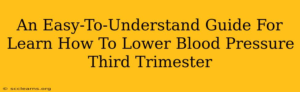 An Easy-To-Understand Guide For Learn How To Lower Blood Pressure Third Trimester