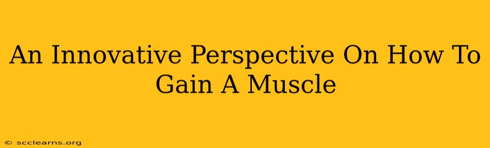 An Innovative Perspective On How To Gain A Muscle