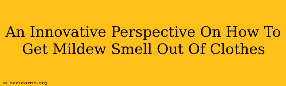 An Innovative Perspective On How To Get Mildew Smell Out Of Clothes