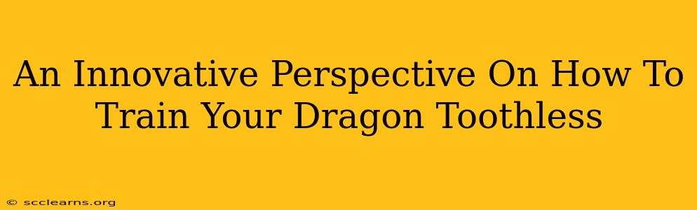 An Innovative Perspective On How To Train Your Dragon Toothless