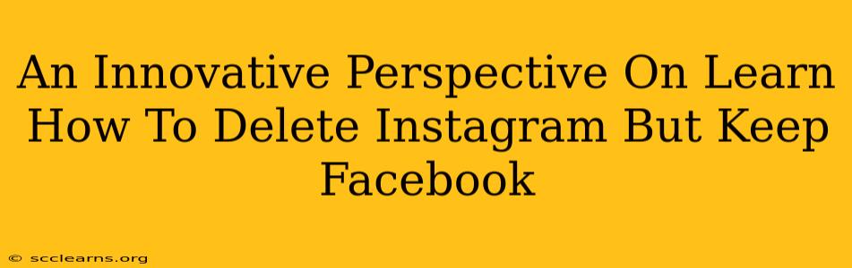 An Innovative Perspective On Learn How To Delete Instagram But Keep Facebook