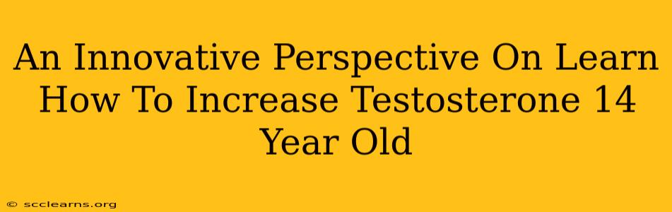 An Innovative Perspective On Learn How To Increase Testosterone 14 Year Old