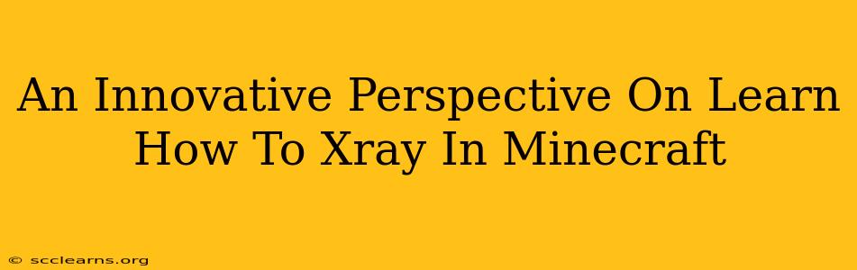 An Innovative Perspective On Learn How To Xray In Minecraft