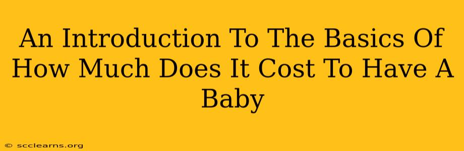 An Introduction To The Basics Of How Much Does It Cost To Have A Baby