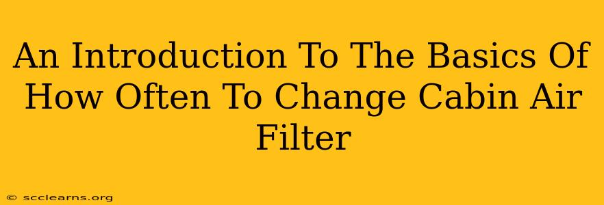 An Introduction To The Basics Of How Often To Change Cabin Air Filter