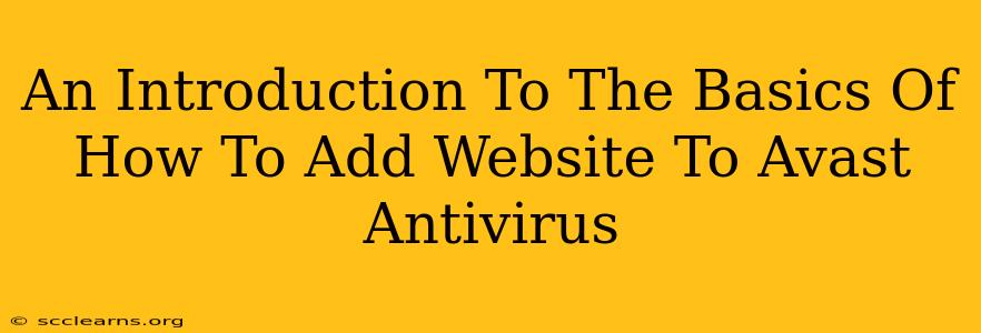 An Introduction To The Basics Of How To Add Website To Avast Antivirus