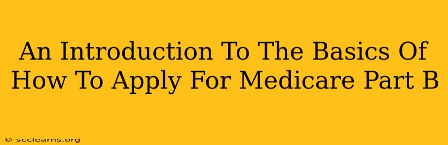 An Introduction To The Basics Of How To Apply For Medicare Part B