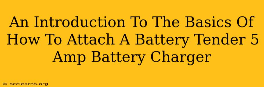 An Introduction To The Basics Of How To Attach A Battery Tender 5 Amp Battery Charger