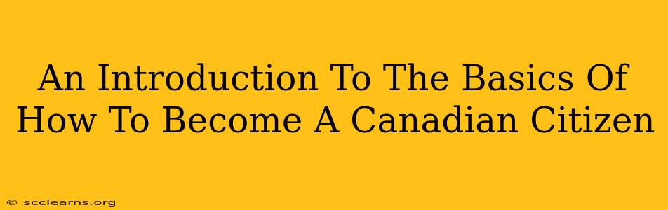 An Introduction To The Basics Of How To Become A Canadian Citizen