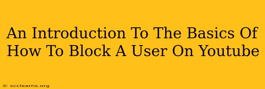 An Introduction To The Basics Of How To Block A User On Youtube