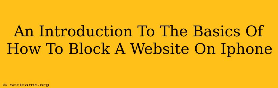 An Introduction To The Basics Of How To Block A Website On Iphone