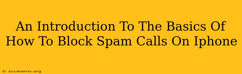 An Introduction To The Basics Of How To Block Spam Calls On Iphone