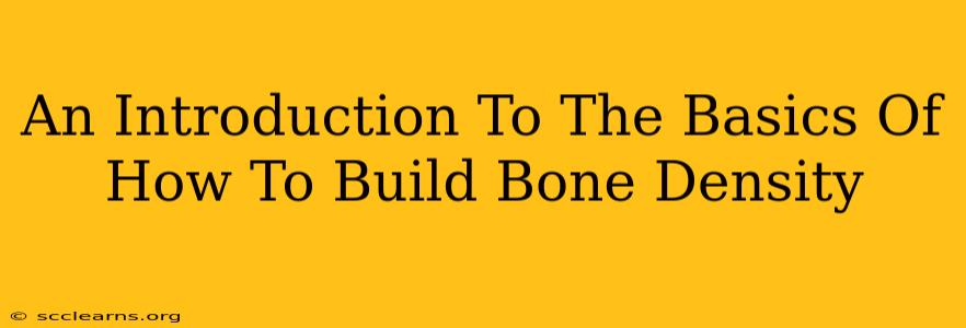 An Introduction To The Basics Of How To Build Bone Density