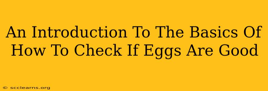 An Introduction To The Basics Of How To Check If Eggs Are Good