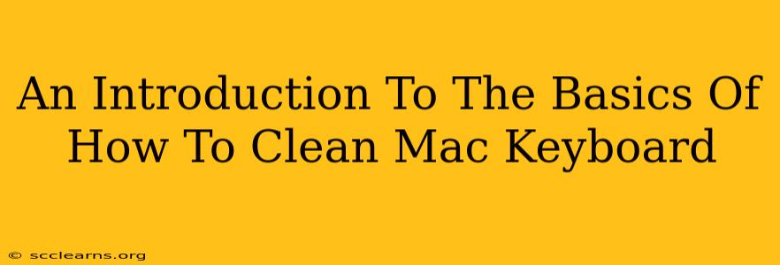 An Introduction To The Basics Of How To Clean Mac Keyboard