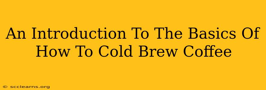 An Introduction To The Basics Of How To Cold Brew Coffee