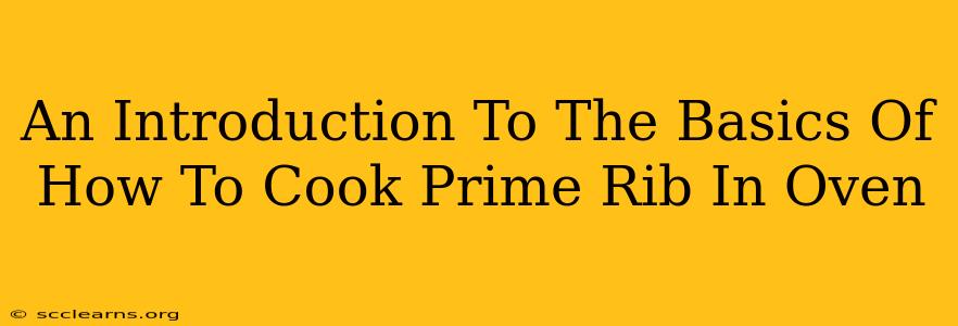 An Introduction To The Basics Of How To Cook Prime Rib In Oven