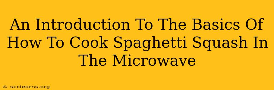 An Introduction To The Basics Of How To Cook Spaghetti Squash In The Microwave