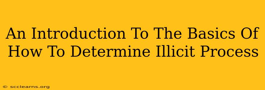 An Introduction To The Basics Of How To Determine Illicit Process