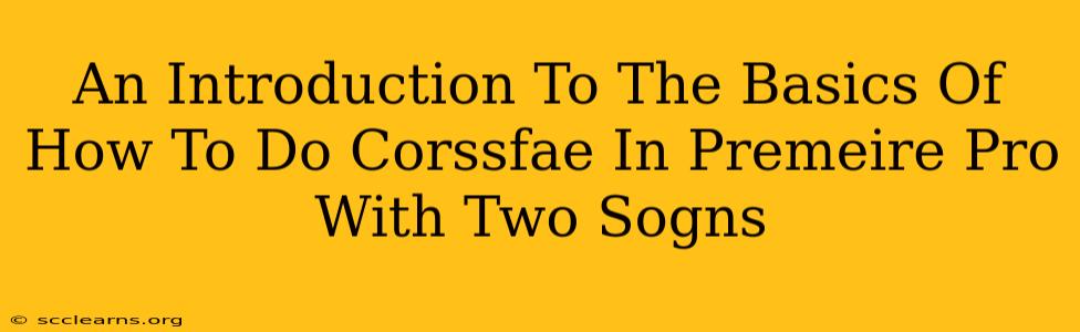 An Introduction To The Basics Of How To Do Corssfae In Premeire Pro With Two Sogns