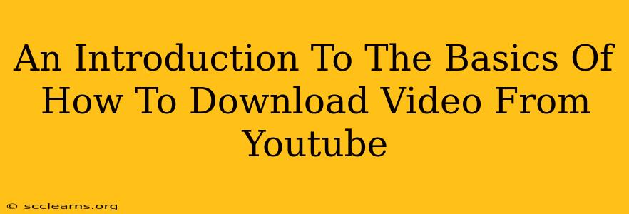 An Introduction To The Basics Of How To Download Video From Youtube