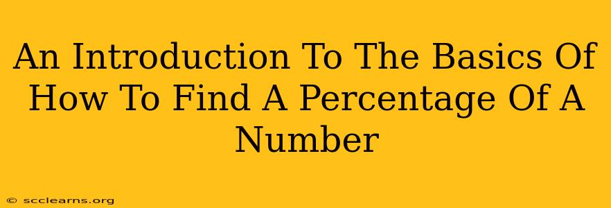 An Introduction To The Basics Of How To Find A Percentage Of A Number