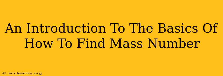 An Introduction To The Basics Of How To Find Mass Number