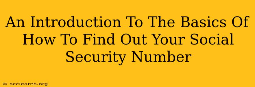 An Introduction To The Basics Of How To Find Out Your Social Security Number