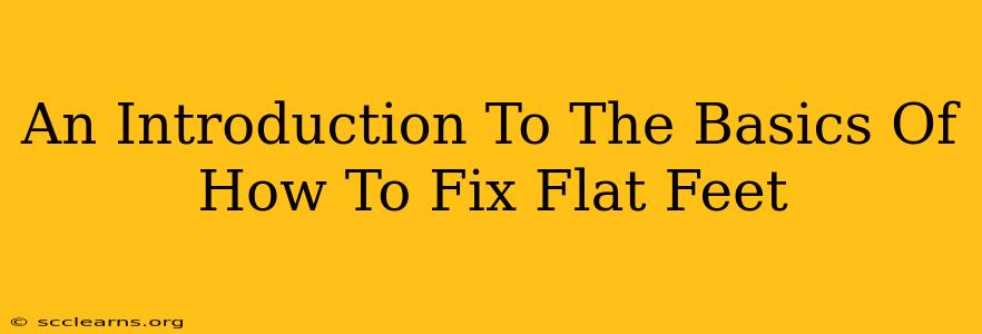 An Introduction To The Basics Of How To Fix Flat Feet