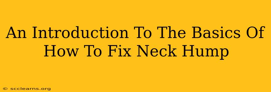 An Introduction To The Basics Of How To Fix Neck Hump