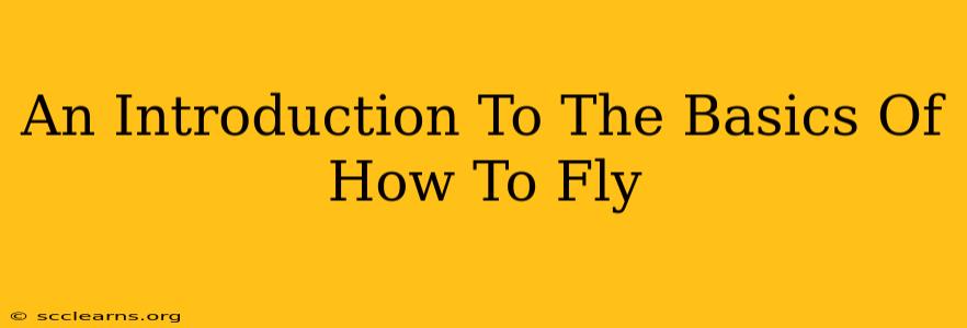 An Introduction To The Basics Of How To Fly