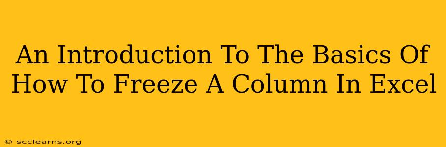 An Introduction To The Basics Of How To Freeze A Column In Excel