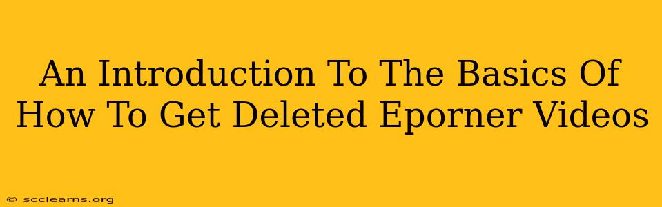 An Introduction To The Basics Of How To Get Deleted Eporner Videos