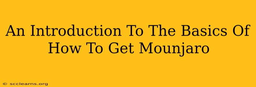 An Introduction To The Basics Of How To Get Mounjaro