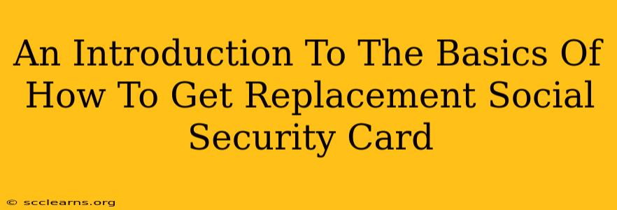 An Introduction To The Basics Of How To Get Replacement Social Security Card