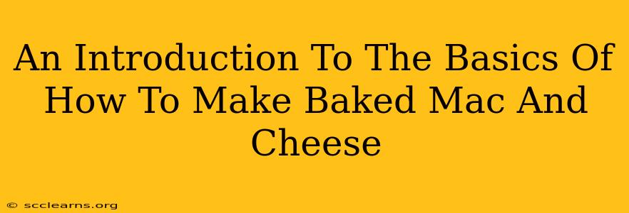 An Introduction To The Basics Of How To Make Baked Mac And Cheese