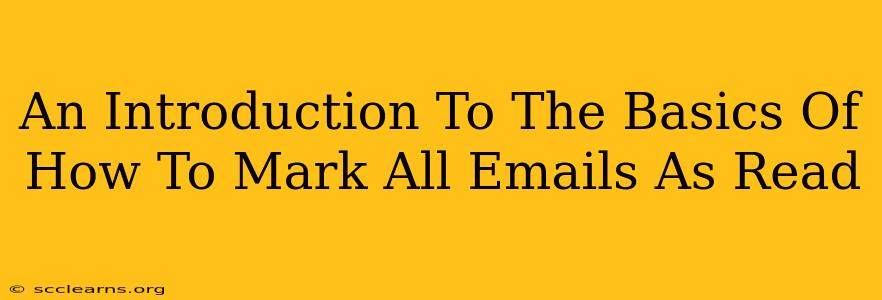 An Introduction To The Basics Of How To Mark All Emails As Read