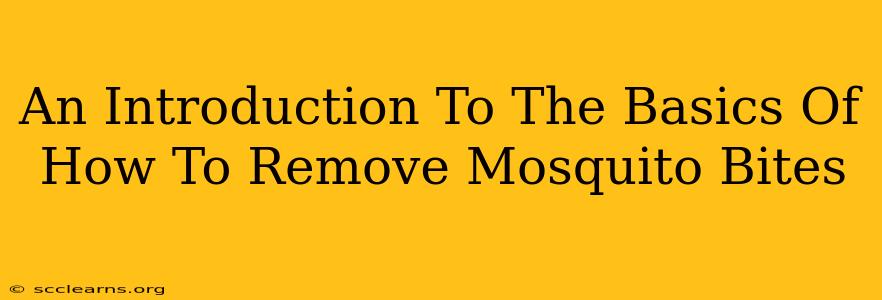 An Introduction To The Basics Of How To Remove Mosquito Bites