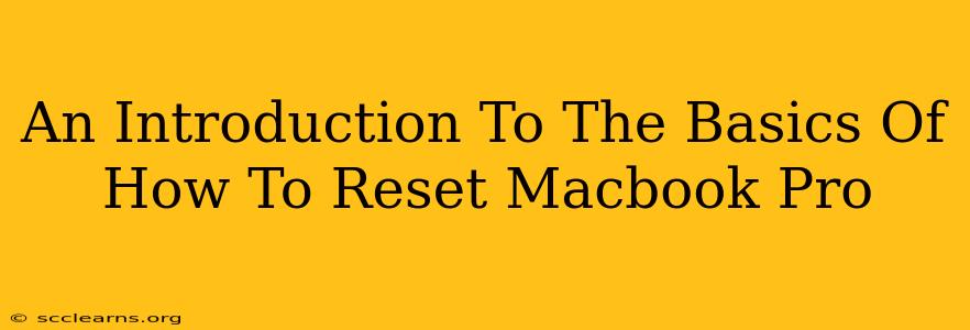 An Introduction To The Basics Of How To Reset Macbook Pro