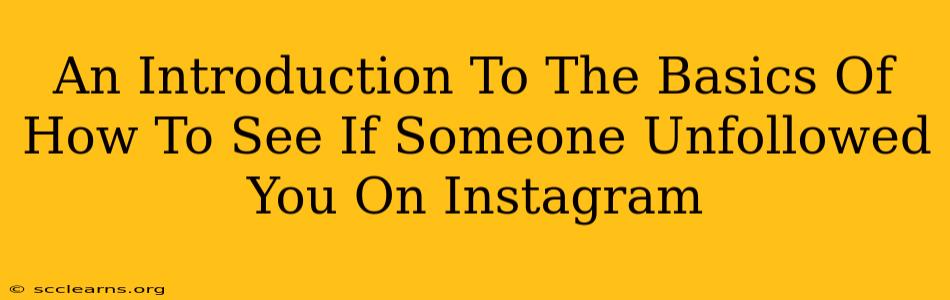 An Introduction To The Basics Of How To See If Someone Unfollowed You On Instagram