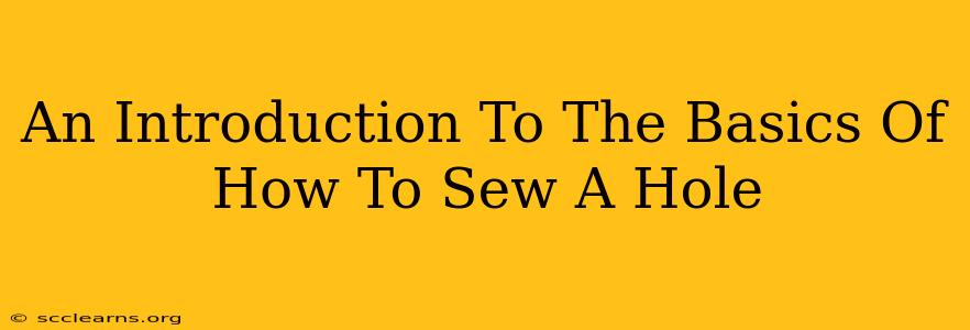 An Introduction To The Basics Of How To Sew A Hole