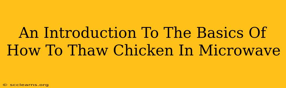 An Introduction To The Basics Of How To Thaw Chicken In Microwave