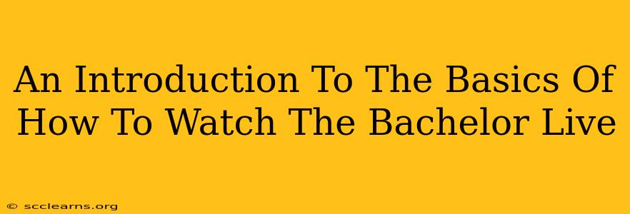 An Introduction To The Basics Of How To Watch The Bachelor Live