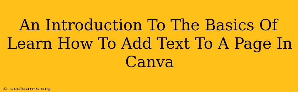 An Introduction To The Basics Of Learn How To Add Text To A Page In Canva