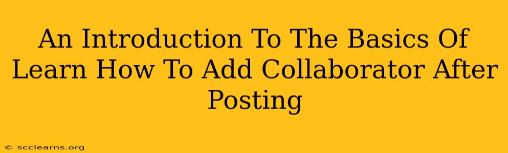 An Introduction To The Basics Of Learn How To Add Collaborator After Posting